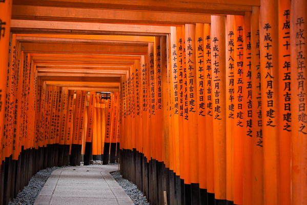 京都稻荷大社总社的千鸟居